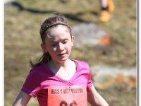 2015-04-18 -D47I1973 : ras y moelwyn